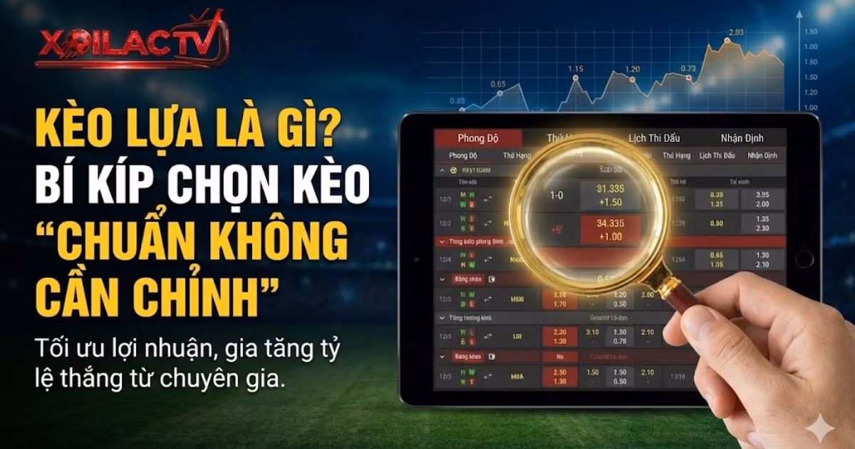 Kèo Lựa Là Gì? Bí Kíp Chọn Kèo Bóng Đá “Chuẩn Không Cần Chỉnh” Từ Cao Thủ